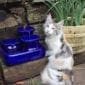 fontaine a eau pour chat en ceramique bleue exterieur