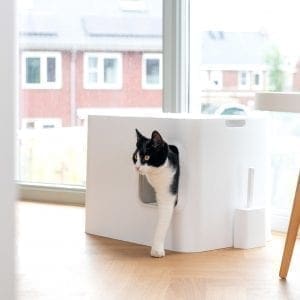 maison de toilette hooppo blanche avec chat
